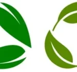 Sustainable Practices Implemented to Minimize Carbon Footprint
